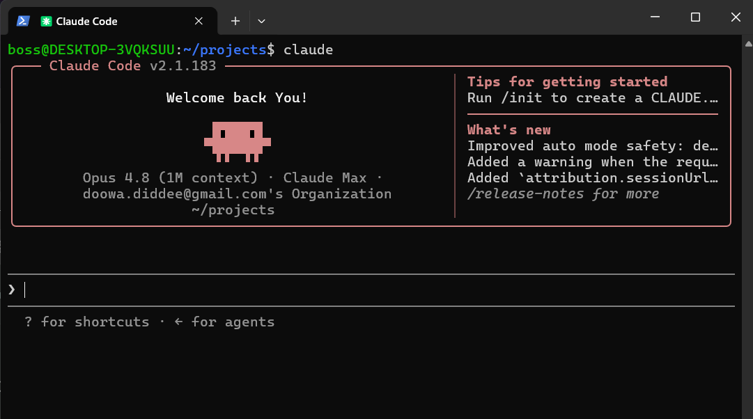 A plain text command-line window with a blinking cursor